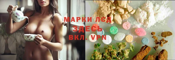 герыч Арсеньев
