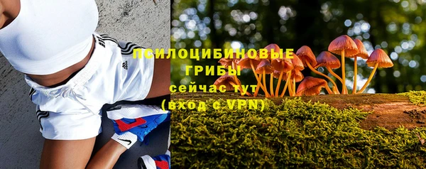 герыч Арсеньев